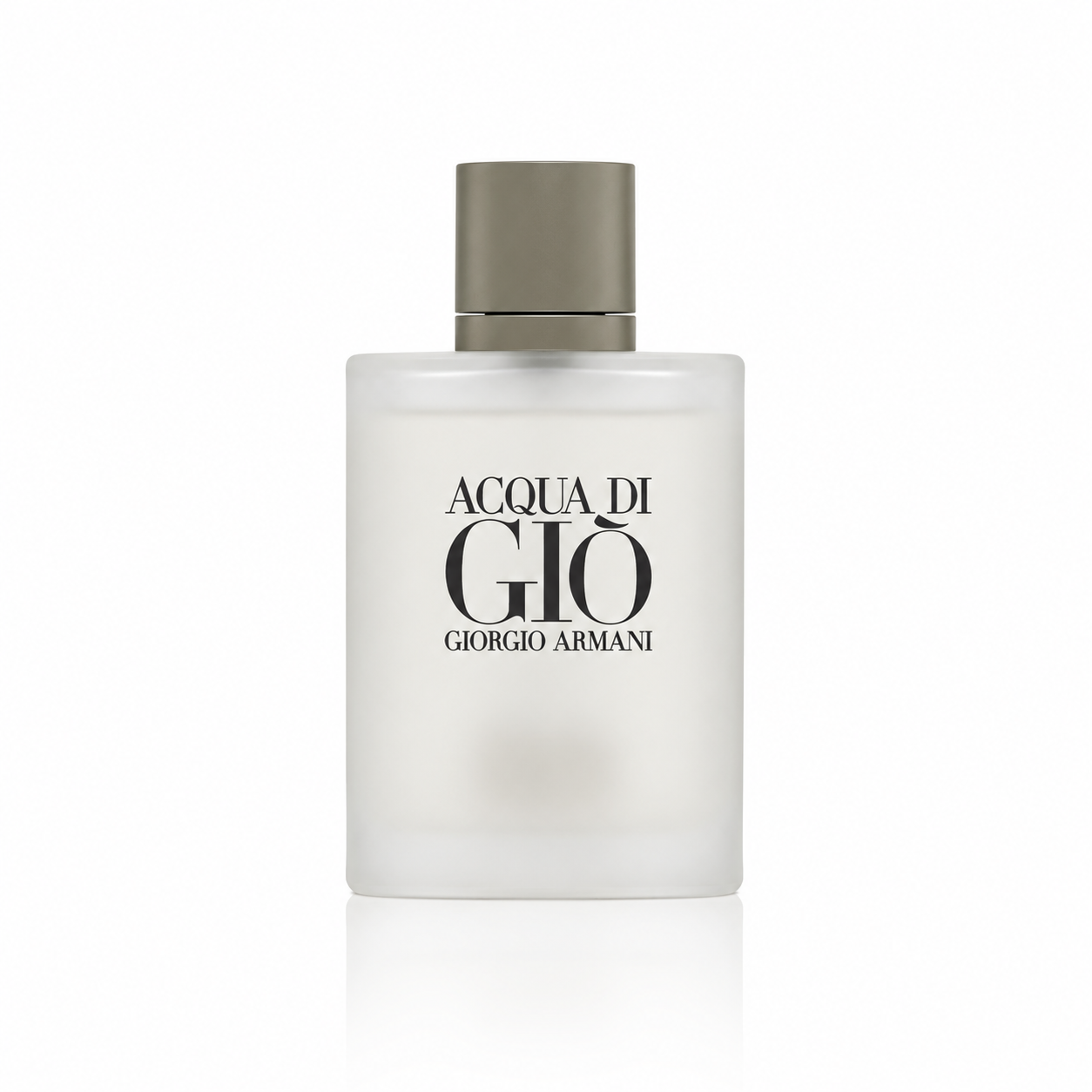 Giorgio Armani Acqua Di Gio Eau de Toilette für Herren 100 ml