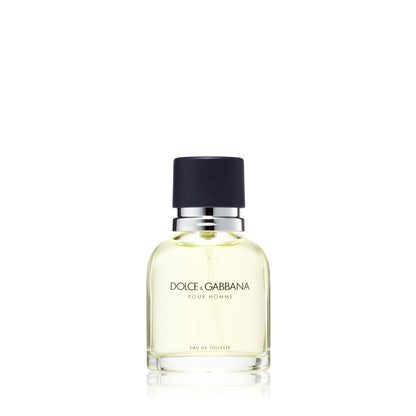Dolce & Gabbana Pour Homme Eau de Toilette für Herren 100 ml