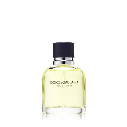 Dolce & Gabbana Pour Homme Eau de Toilette für Herren 100 ml