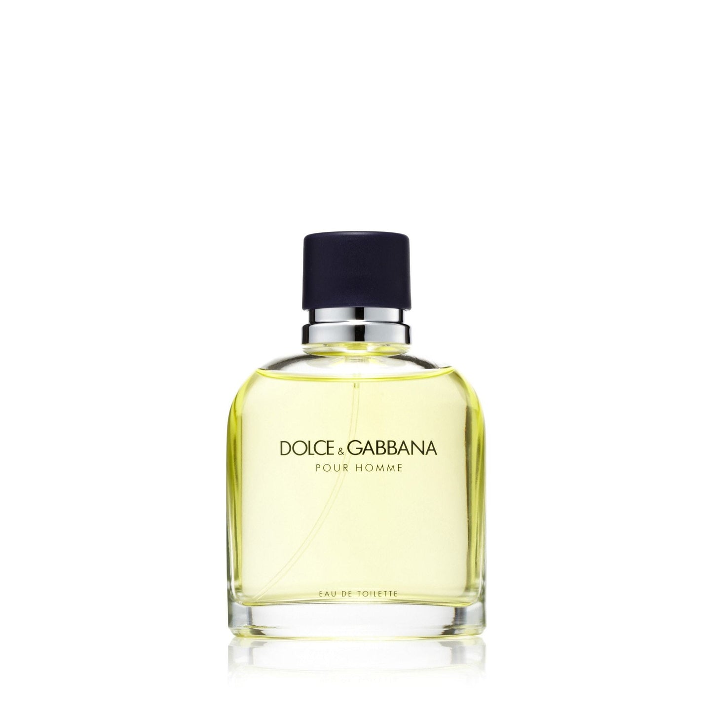 Dolce & Gabbana Pour Homme Eau de Toilette für Herren 100 ml