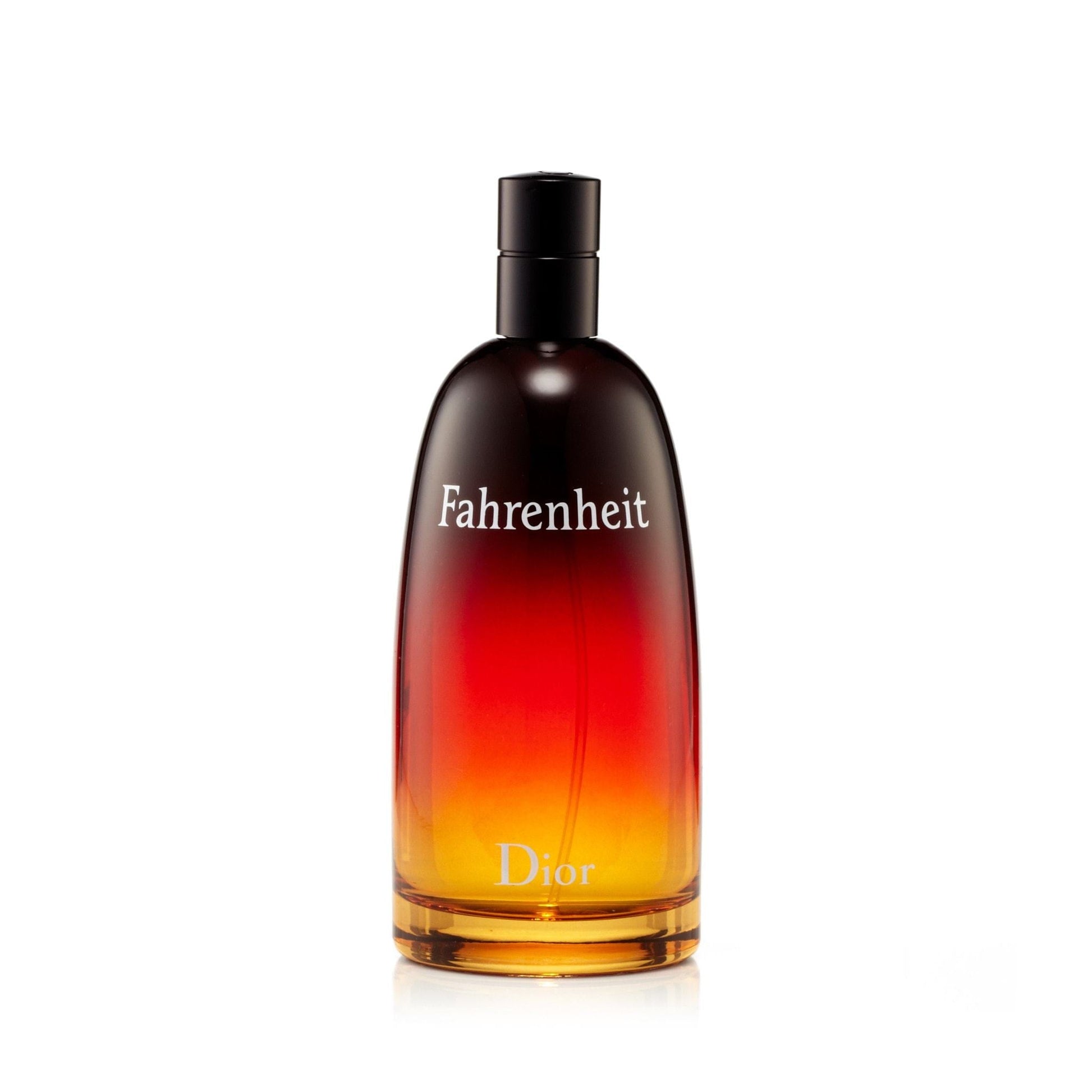 Christian Dior Fahrenheit Eau de Toilette für Herren 100 ml