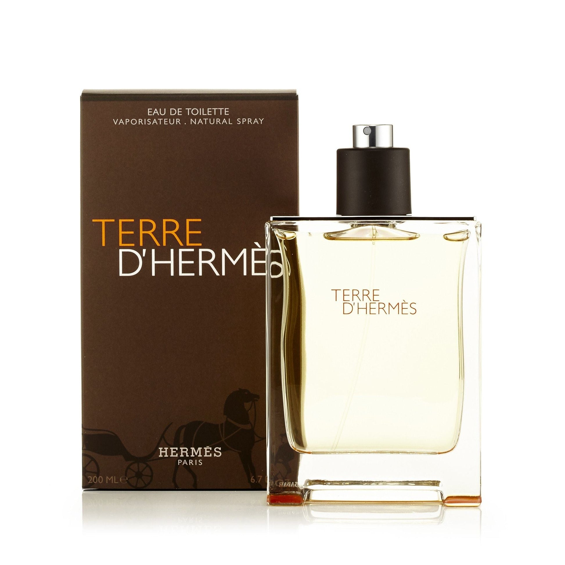 Hermès Terre D'Hermes Eau de Toilette für Herren 100 ml