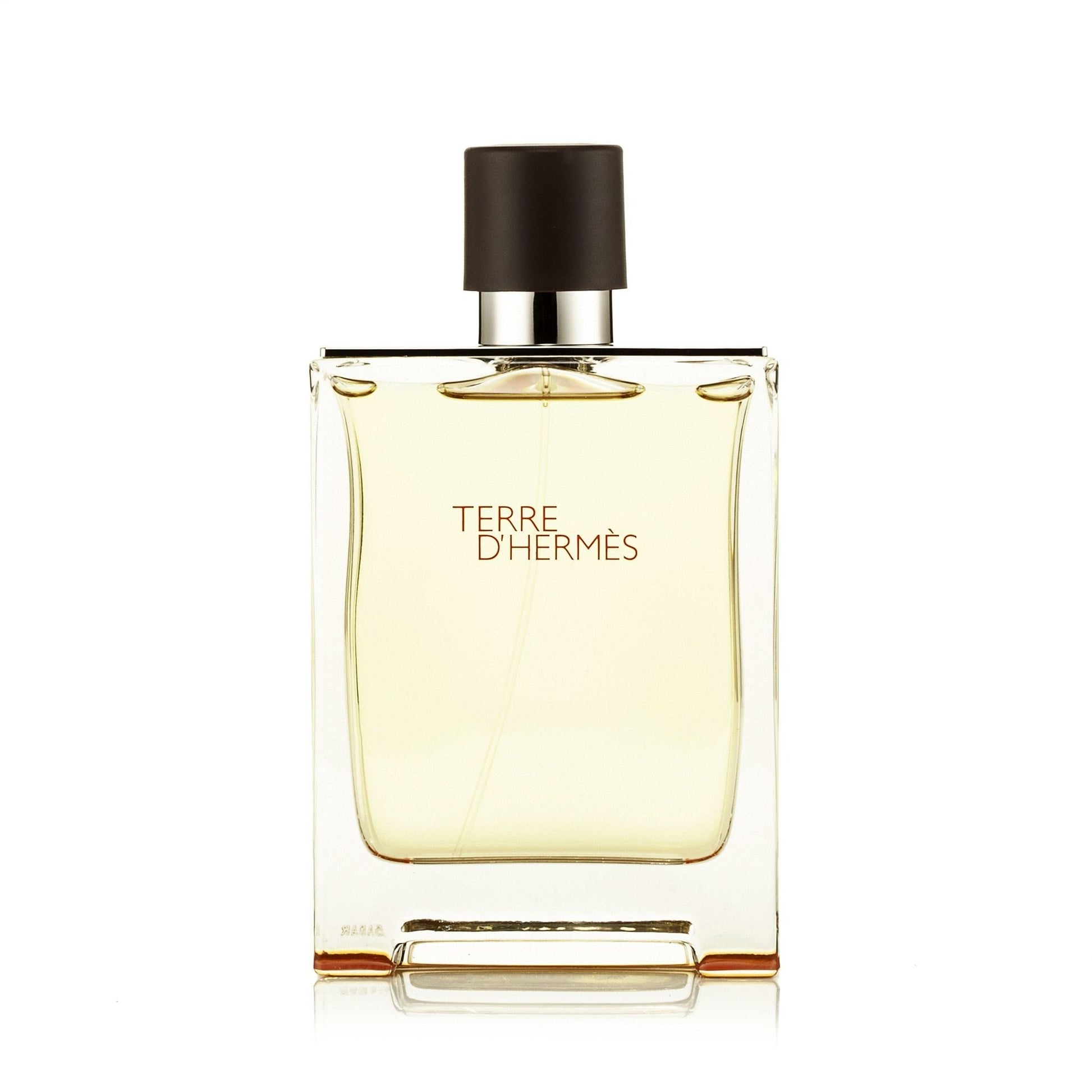Hermès Terre D'Hermes Eau de Toilette für Herren 100 ml
