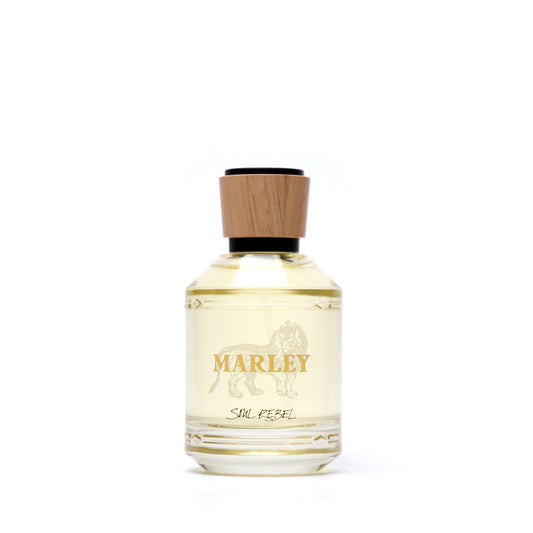 Bob Marley Soul Rebel Eau de Parfum für Damen 100 ml