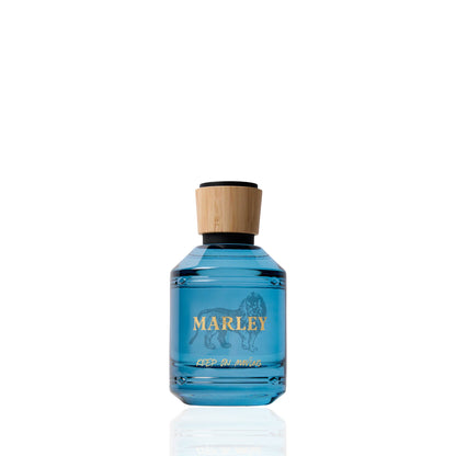 Bob Marley Keep On Moving Eau de Parfum für Herren 100 ml