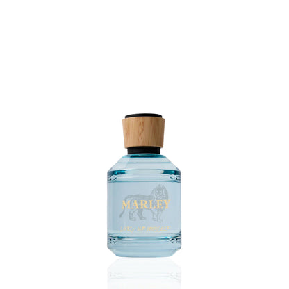 Bob Marley Lively Up Yourself Eau de Parfum für Damen 100 ml
