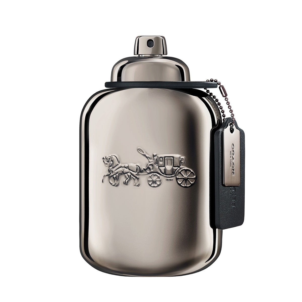 Coach Pure Platinum Eau de Parfum für Herren 100 ml